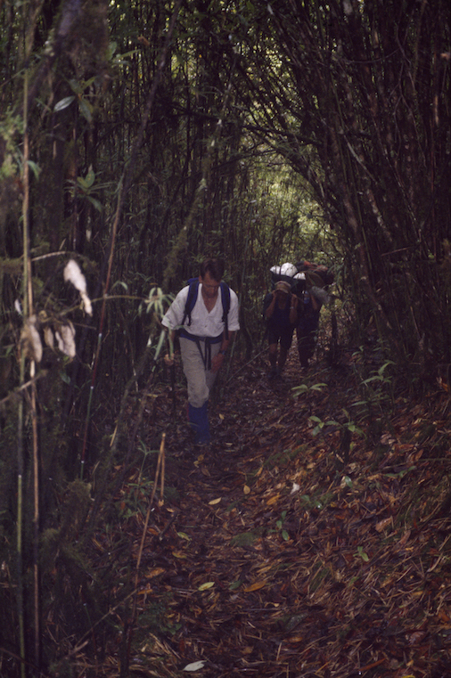 95 B 34 146b 1995 Troy on Bamboo Trail