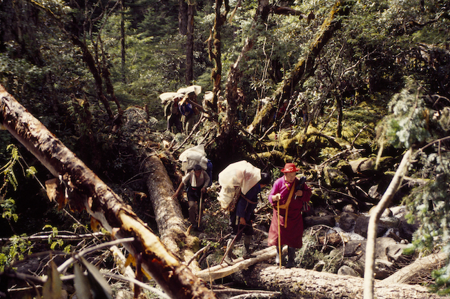 95 B 65 31a 1995 Jolly Lama Crossing Logs